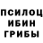 Псилоцибиновые грибы MAGIC MUSHROOMS regiane benites