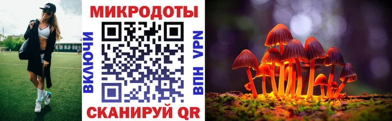 что такое   Стародуб  Галлюциногенные грибы GOLDEN TEACHER 